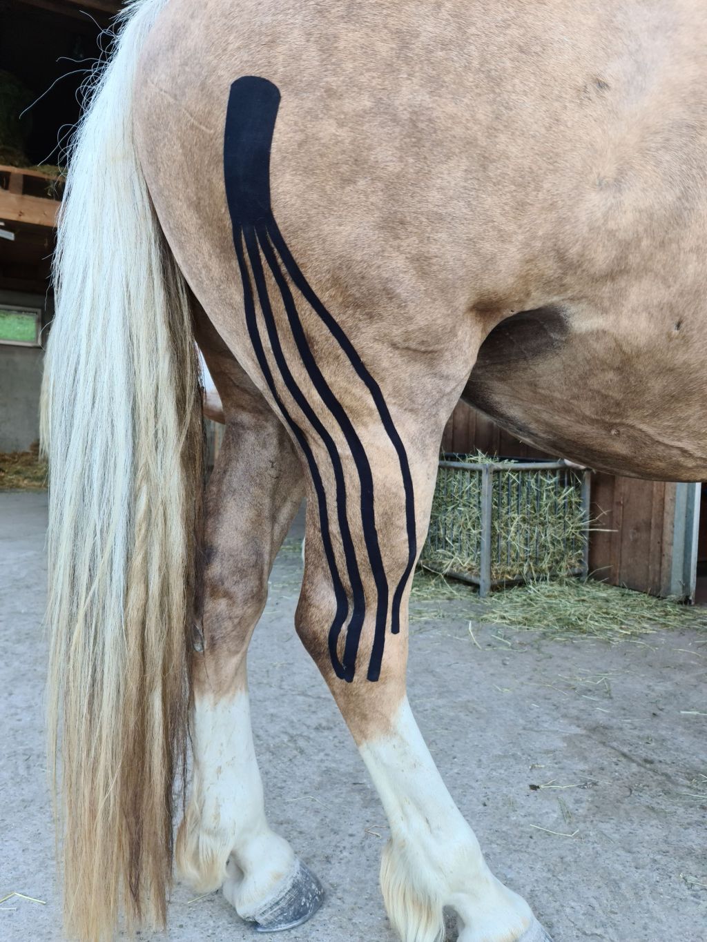 Unbenannter Beitrag 777