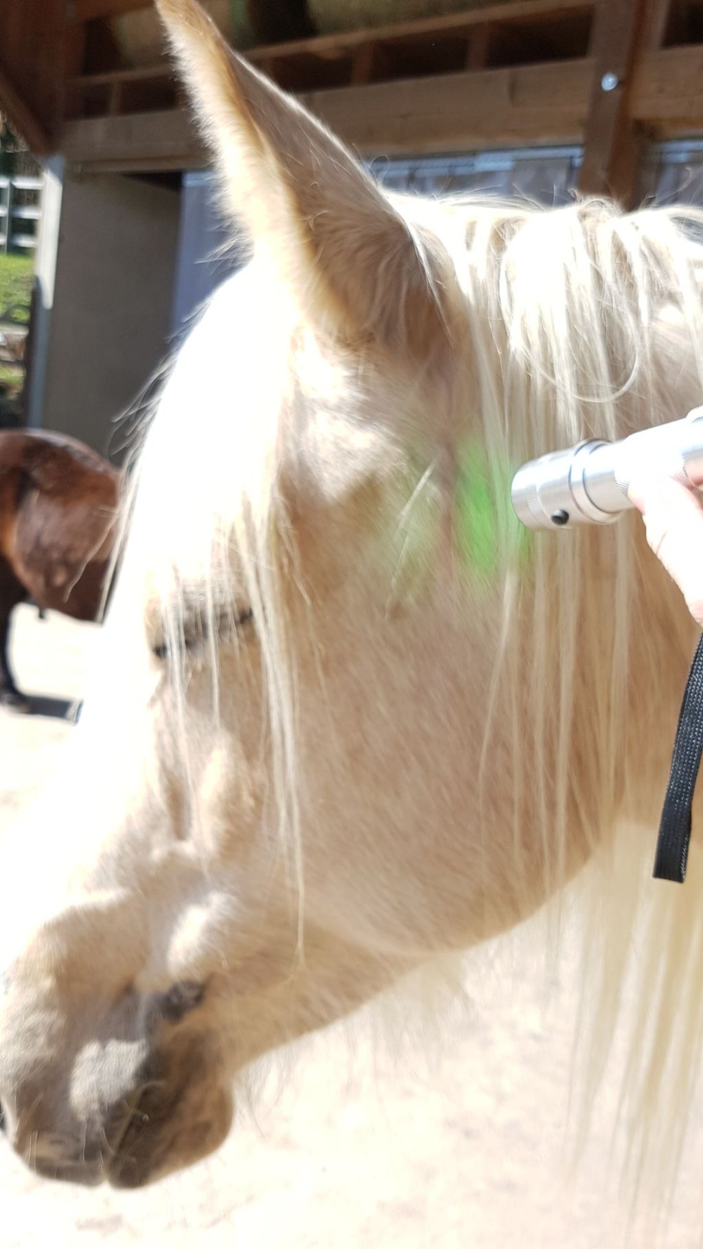 Unbenannter Beitrag 805